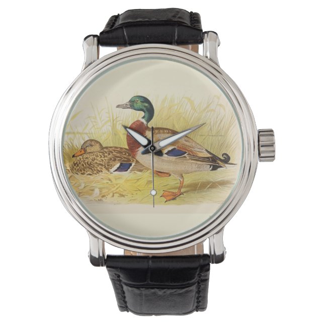 Mallard Ducks  Watch (Front)