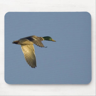 mallard flying in open sky mousepad