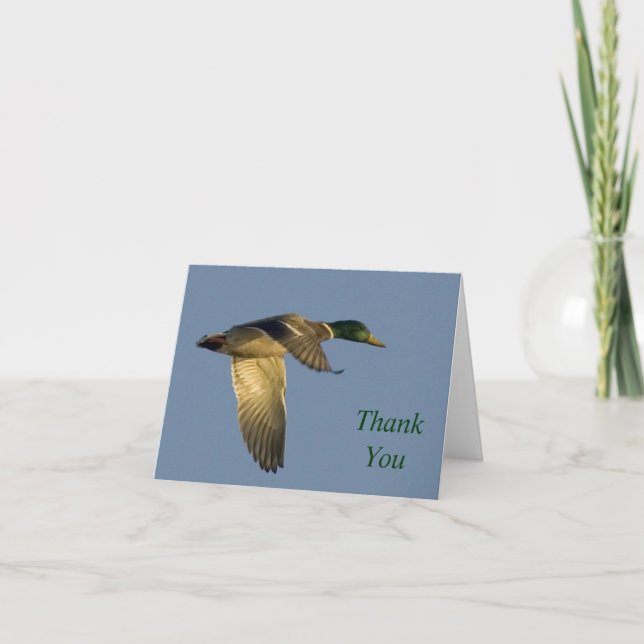 mallard flying in open sky thank you note card (Front)