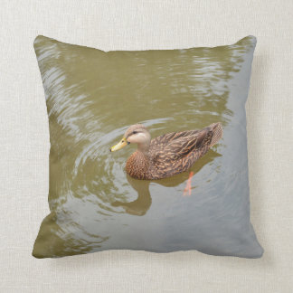 mallard hen in water duck animal feather bird cushion