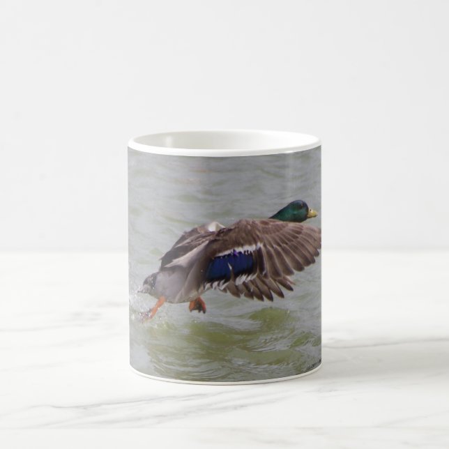 mallard in flight coffee mug (Center)