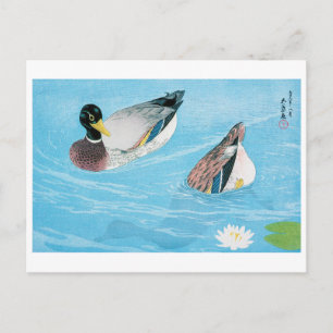 Mallard in the Pond, Goyō Hashiguchi Postcard