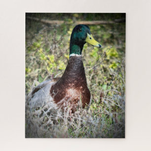Mallard Jigsaw Puzzle