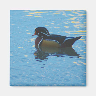 Mallard Magnet