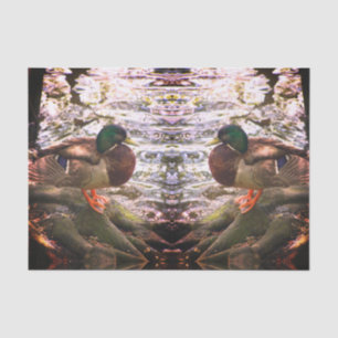 Mallard Mirror Tissue Paper