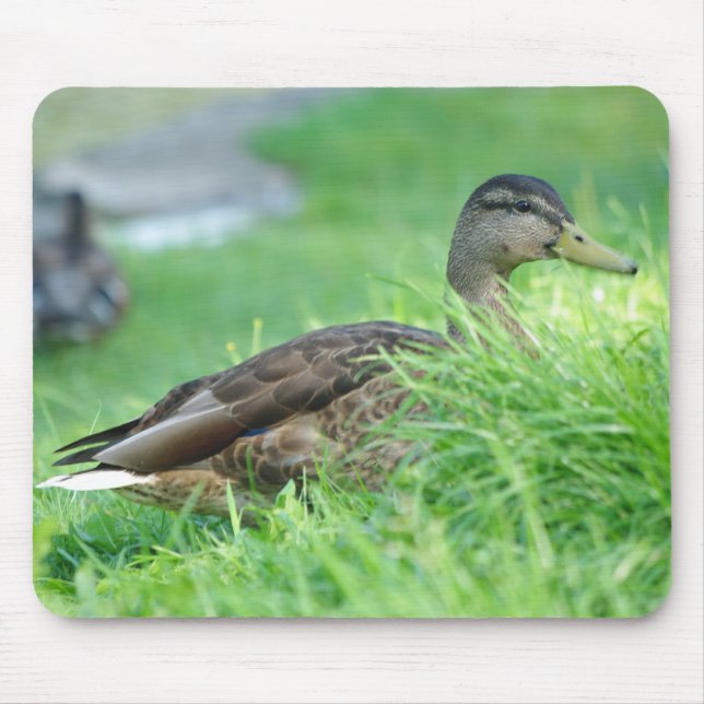 Mallard Mousepad (Front)