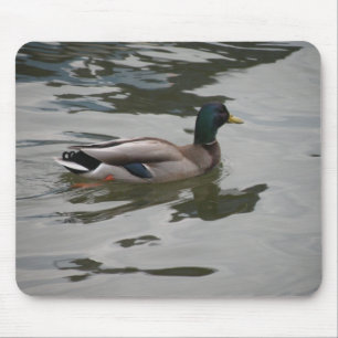 Mallard Mousepad