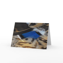 Mallard Notecard