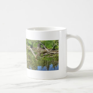 Mallard on Pond Coffee Mug