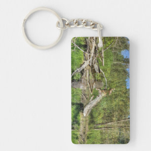 Mallard on Pond Key Ring