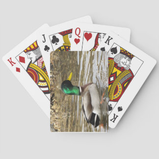 Mallard Playing Cards