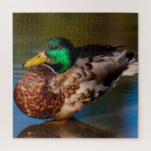 Mallard Portrait Jigsaw Puzzle