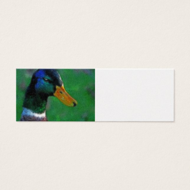 Mallard Profile Card (Front)