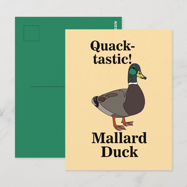 Mallard Quack-Tastic Duck  Postcard (Front/Back)