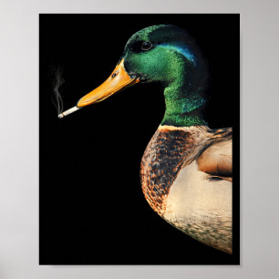 Mallard smoking cigarette meme funny mallard duck poster