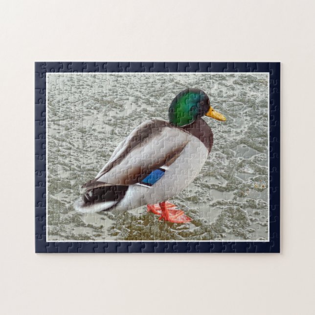 Mallard Wild Duck On Frozen Lake Jigsaw Puzzle (Horizontal)