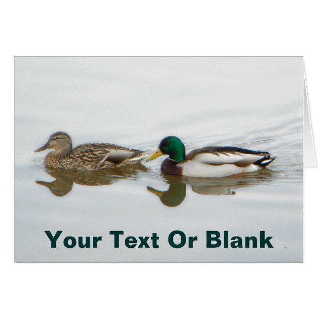 Mallards (Front Horizontal)