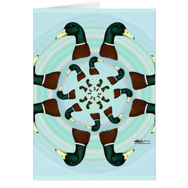 Mallards Galore! (Front)