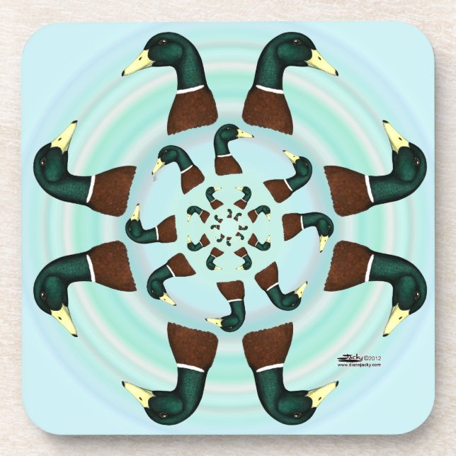 Mallards Galore! Coaster (Front)