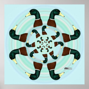 Mallards Galore! Poster