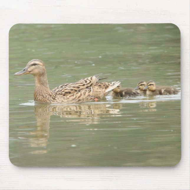 Mallards Mouse Pad (Front)