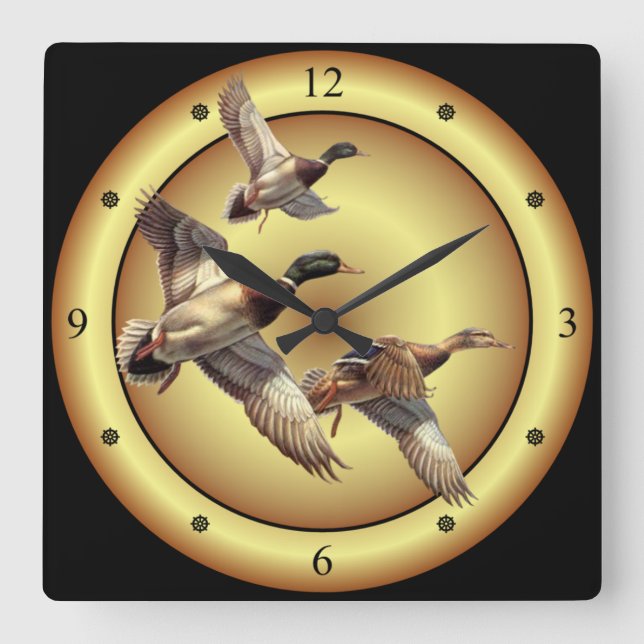 Mallards ~ Wild Ducks ~ Anas platyrhynchos ~  Square Wall Clock (Front)