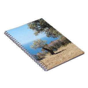 Mallorca Notebook