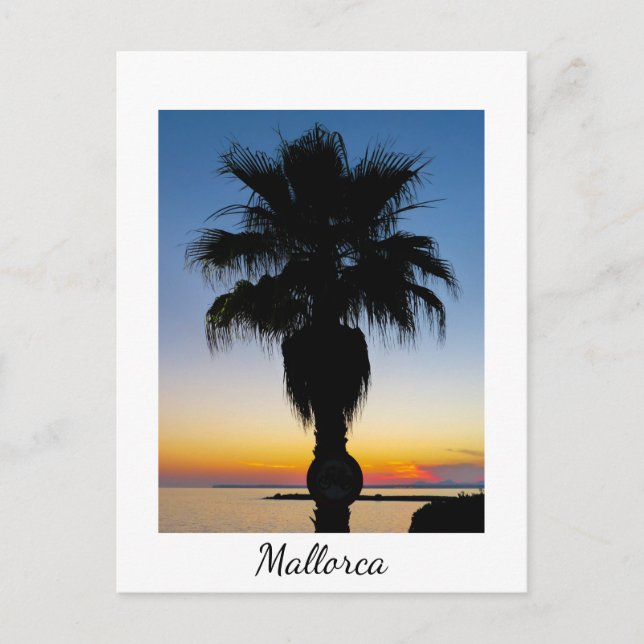Mallorca Palm Tree in the Sunset Postcard (Front)
