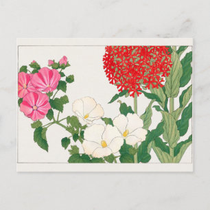Mallow, Centranthus by Tanigami Konan Postcard