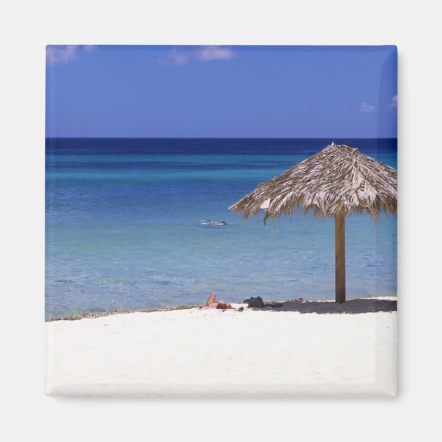 Malmok Beach, Aruba, Netherlands Antilles Magnet (Front)