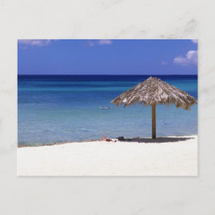 Malmok Beach, Aruba, Netherlands Antilles Postcard