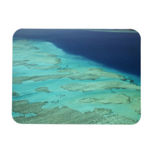 Malolo Barrier Reef off Malolo Island, Fiji 2 Magnet