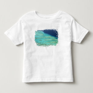 Malolo Barrier Reef off Malolo Island, Fiji Toddler T-Shirt