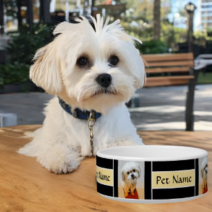 Malshi Black Dog Bowl Customisable