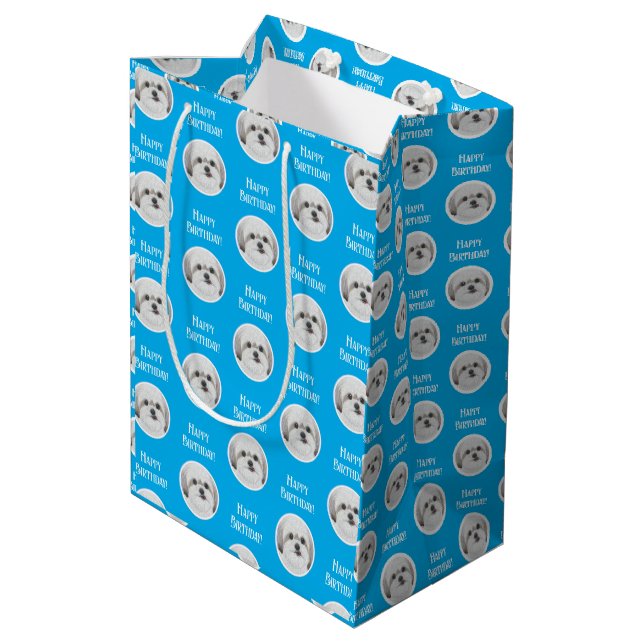 Malshi Blue Medium Gift Bag (Back Angled)