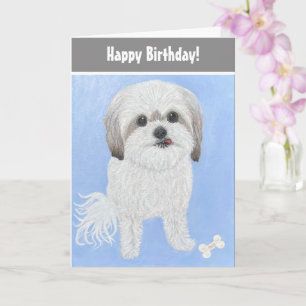 Malshi Dog Birthday Folding Card