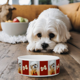 Malshi Dog Bowl with Bone Maroon