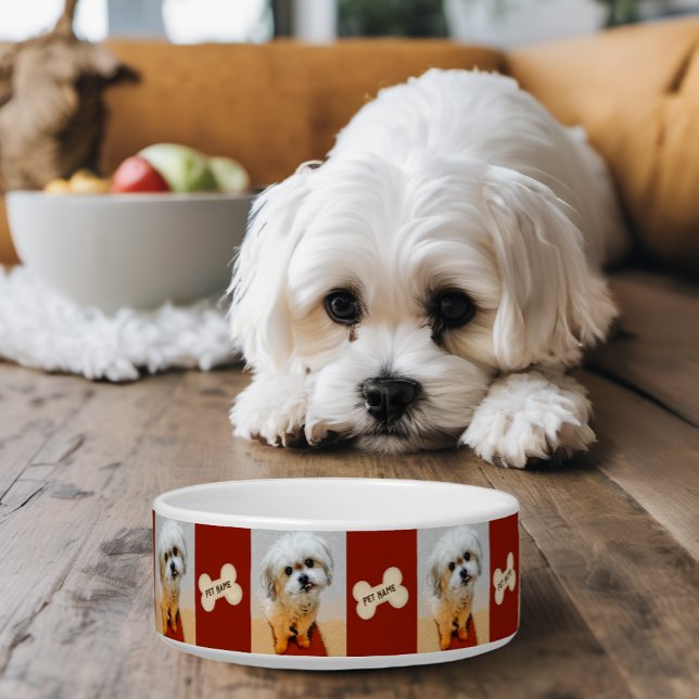 Malshi Dog Bowl with Bone Maroon (Creator Uploaded)