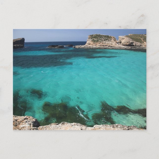 Malta, Comino Island, The Blue Lagoon Postcard (Front)