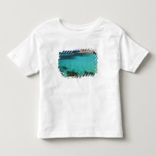 Malta, Comino Island, The Blue Lagoon Toddler T-Shirt
