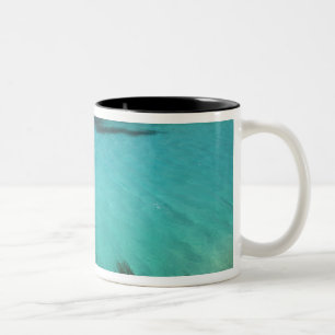 Malta, Comino Island, The Blue Lagoon Two-Tone Coffee Mug