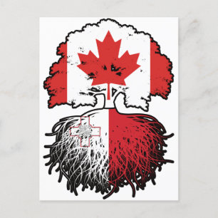 Malta Maltese Canadian Canada Tree Roots Flag Postcard