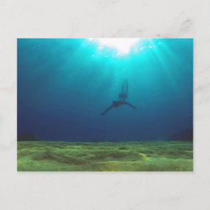 Malta Snorkelling Postcard