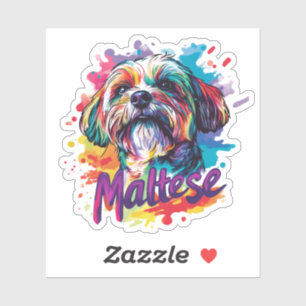Maltese