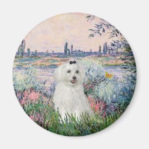 MALTESE 10 - By the Seine Magnet
