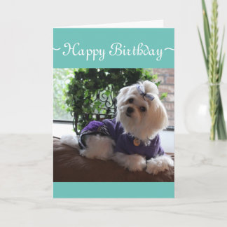 Maltese 2 card