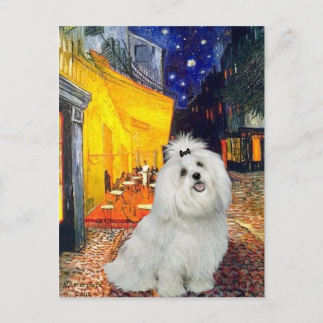 Maltese 7 - Terrace Cafe Postcard (Front)