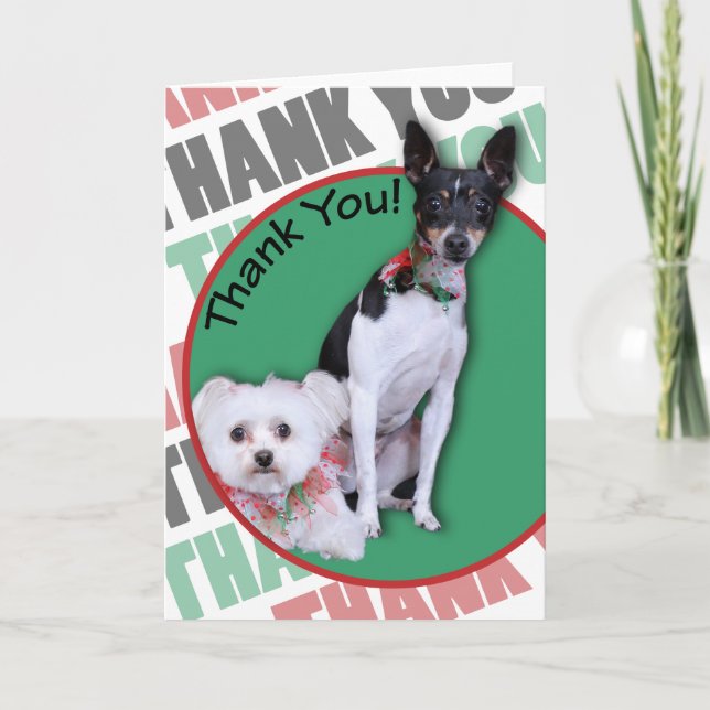 Maltese and Fox Terrier Thank You Card (Front)