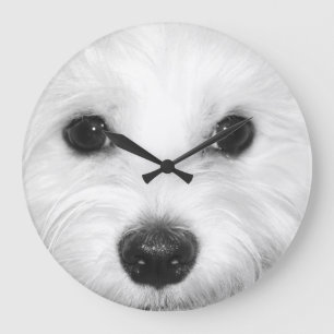 Maltese and His Charming Attributes Nose and Eyes Large Clock