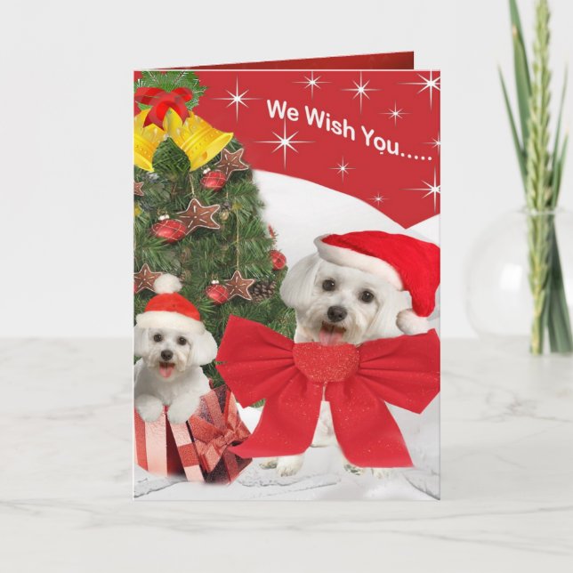 Maltese and Puppy wish you Merry Christmas Holiday Card (Front)